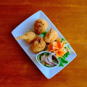 Golden Stuffed Wings